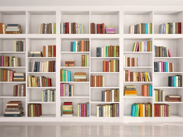 Bookshelf Assembly in Powder Springs